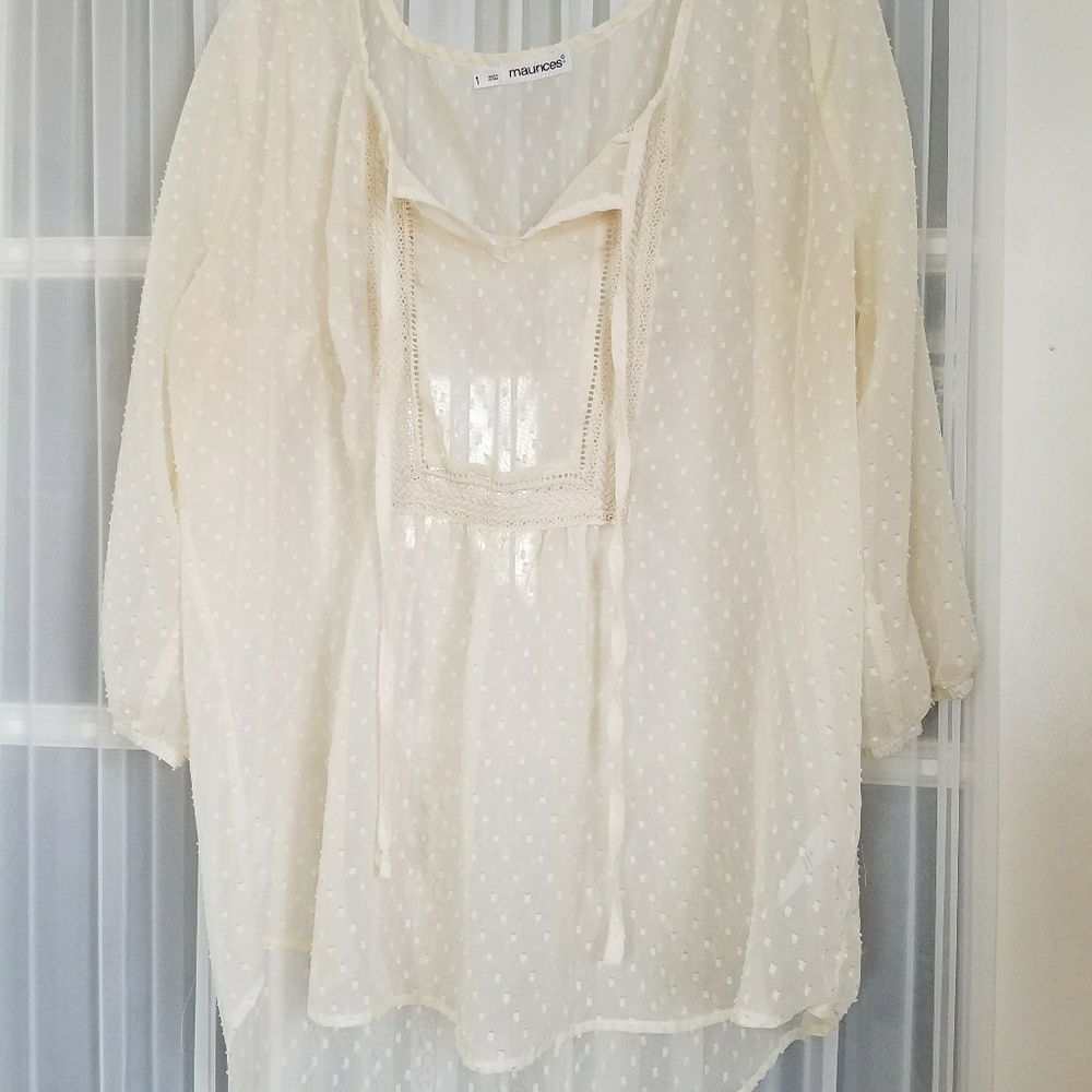 Sheer Blouse